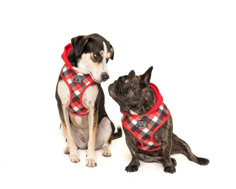 Big and Little Dogs Hoody Harness Roaring Red ( XSMALL) hondentuig > honden harnas > model A X - Small