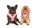 Big and Little Dogs Reversible Harness Gettin' Piggy With It - Premium hondentuig > honden harnas from Big and Little Dogs - Just €27.99! Shop now at Frenkiezdogshop