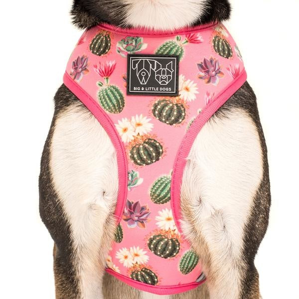 Big and Little Dogs Reversible Harness Plant One On Me (MEDIUM & XLARGE) - Premium hondentuig > honden harnas from Big and Little Dogs - Just €27.99! Shop now at Frenkiezdogshop