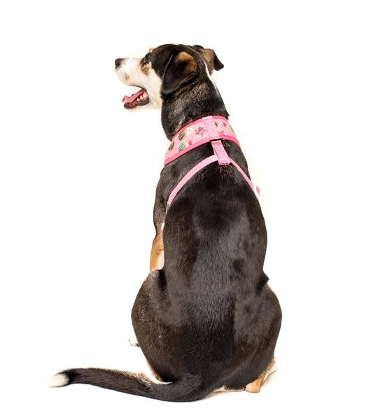 Big and Little Dogs Reversible Harness Plant One On Me (MEDIUM & XLARGE) - Premium hondentuig > honden harnas from Big and Little Dogs - Just €27.99! Shop now at Frenkiezdogshop