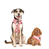 Big and Little Dogs Reversible Harness Plant One On Me (MEDIUM & XLARGE) - Premium hondentuig > honden harnas from Big and Little Dogs - Just €27.99! Shop now at Frenkiezdogshop