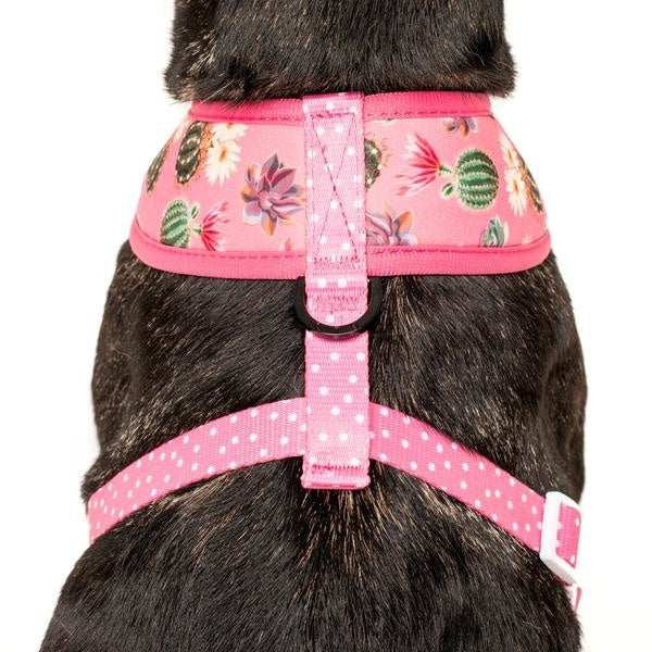 Big and Little Dogs Reversible Harness Plant One On Me (MEDIUM & XLARGE) - Premium hondentuig > honden harnas from Big and Little Dogs - Just €27.99! Shop now at Frenkiezdogshop