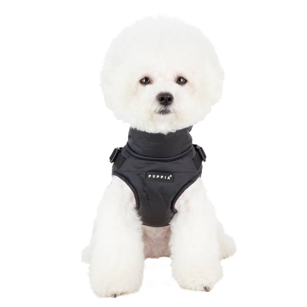 Puppia Mountaineer Jacket Harness Black - Premium Hondenkleding > hondenjas from Puppia - Just €66.99! Shop now at Frenkiezdogshop