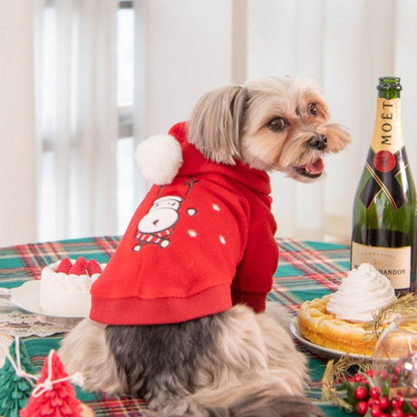 Puppia Blitzen Kerst Hoodie Red Hondenkleding > Hondentrui Small