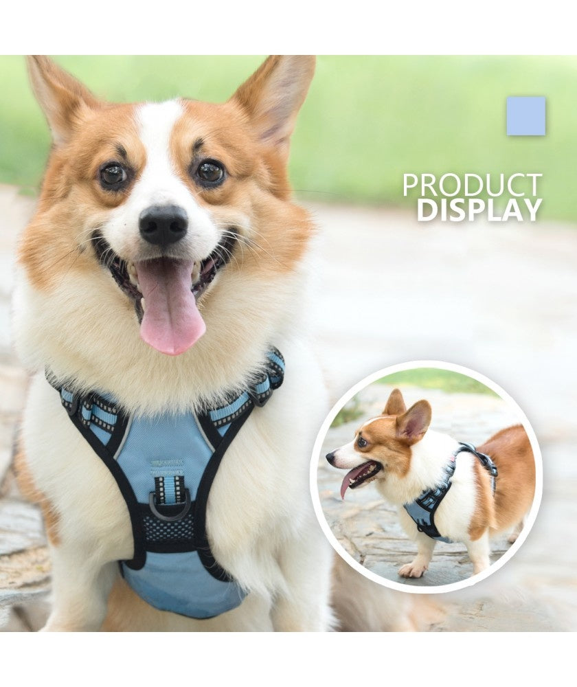 Frenkiez reflective Y tuig no pull dogharness lightblue - Premium hondentuig > honden harnas from Frenkiez - Just €34.99! Shop now at Frenkiezdogshop