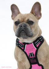 Frenkiez reflective no pull dog harness pink - Premium hondentuig > honden harnas from Frenkiez - Just €19.99! Shop now at Frenkiezdogshop