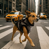 Puppia Chic Hound Vest Harness – Model V Black