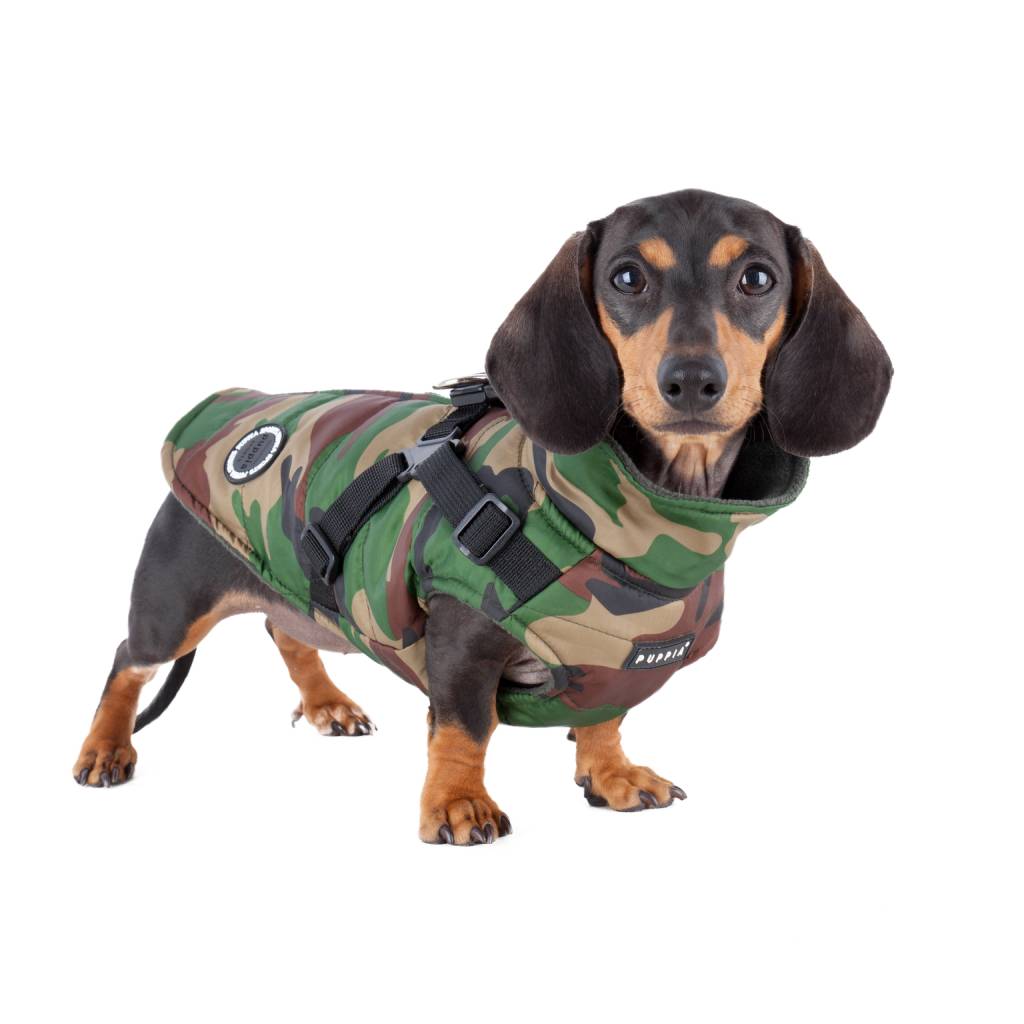 Puppia Mountaineer Harness Jacket Camo - Premium Hondenkleding > hondenjas from Puppia - Just €66.99! Shop now at Frenkiezdogshop