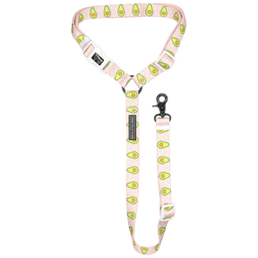 Big and Little Dogs premium autogordel Let's Avo Cuddle Autogordel > Autoriem Standaard/One Size