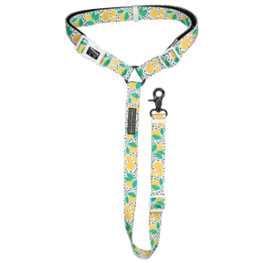 Big and Little Dogs premium autogordel Main Squeeze Autogordel > Autoriem Standaard/One Size