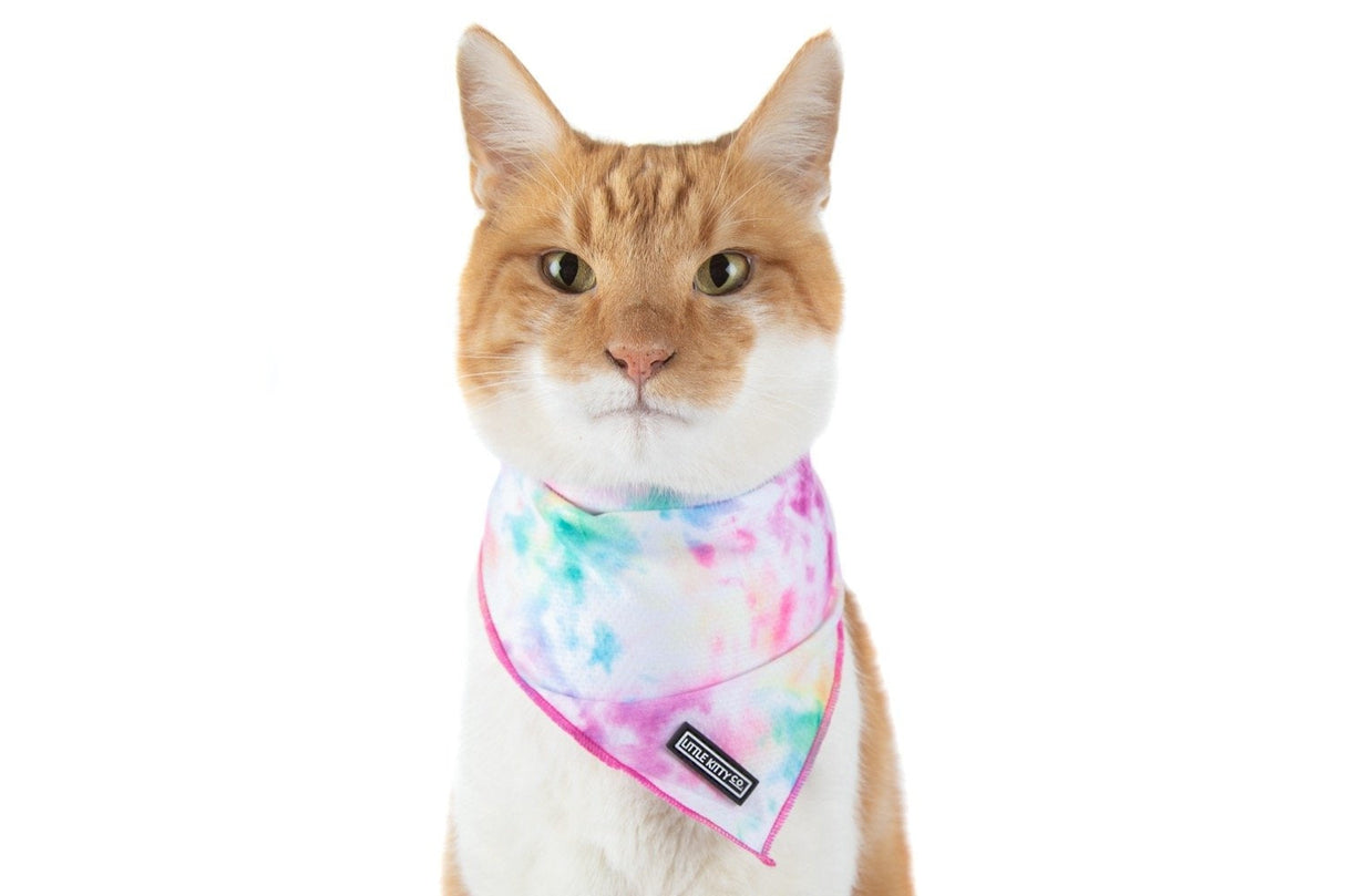 Little Kitty Cat Bandana Cotton Candy - Premium Kattenkleding > bandana from Little Kitty - Just €8.99! Shop now at Frenkiezdogshop