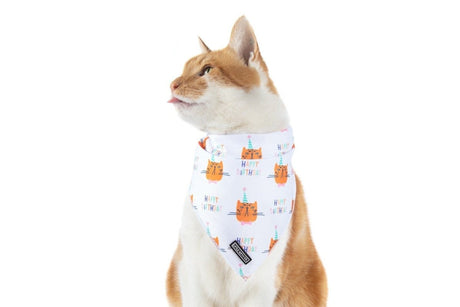 Little Kitty Cat Bandana Happy Birthday Kattenkleding > bandana Standaard/One Size