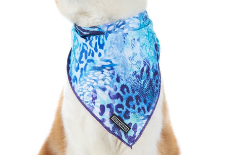 Little Kitty Cat Bandana Snakeskin - Premium Kattenkleding > bandana from Little Kitty - Just €8.99! Shop now at Frenkiezdogshop