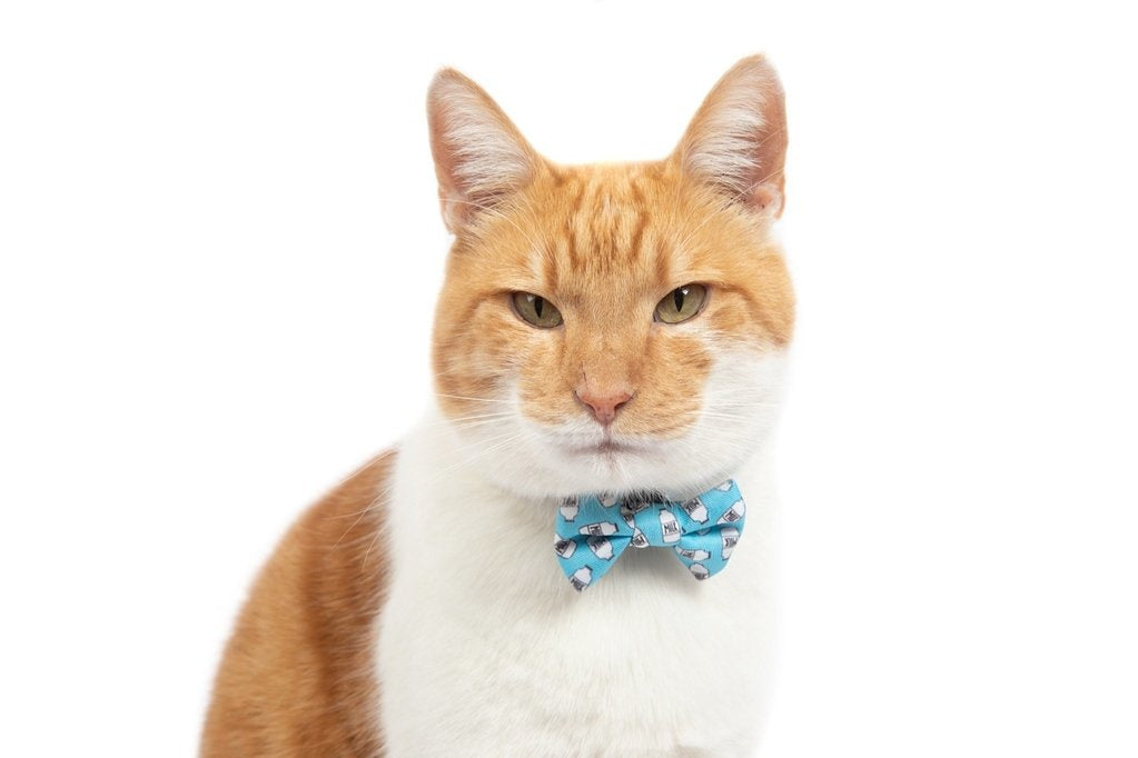 Little Kitty Cat Collar & Bow Tie Milk - Premium halsband > kattenhalsband from Little Kitty - Just €9.99! Shop now at Frenkiezdogshop