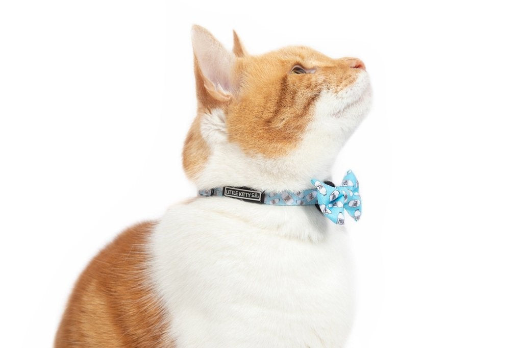 Little Kitty Cat Collar & Bow Tie Milk - Premium halsband > kattenhalsband from Little Kitty - Just €9.99! Shop now at Frenkiezdogshop