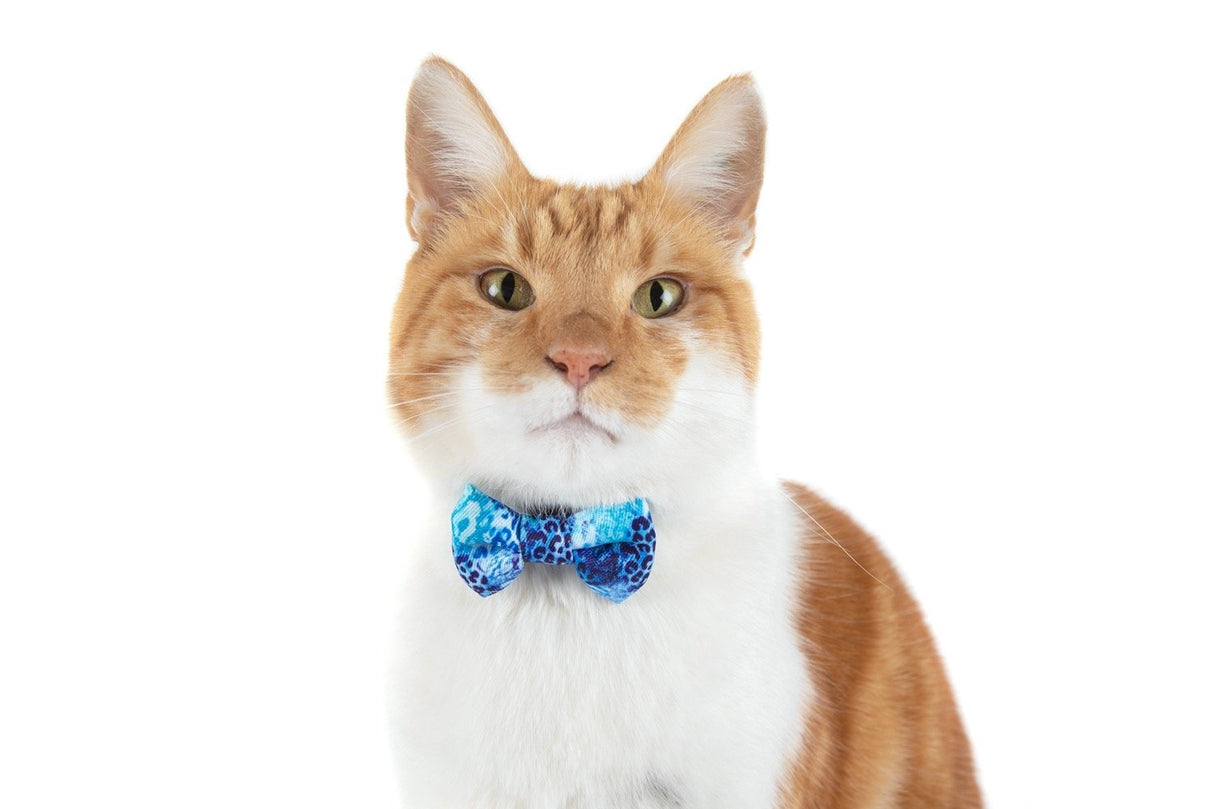 Little Kitty Cat Collar & Bow Tie Snakeskin - Premium halsband > kattenhalsband from Little Kitty - Just €9.99! Shop now at Frenkiezdogshop