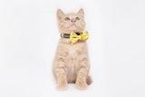 Little Kitty Cat Collar & Bow Tie Cheesin' Around - Premium halsband > kattenhalsband from Little Kitty - Just €9.99! Shop now at Frenkiezdogshop