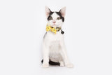 Little Kitty Cat Collar & Bow Tie Cheesin' Around - Premium halsband > kattenhalsband from Little Kitty - Just €9.99! Shop now at Frenkiezdogshop