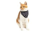 Little Kitty Cat Bandana Baddest of them All - Premium Kattenkleding > bandana from Little Kitty - Just €8.99! Shop now at Frenkiezdogshop