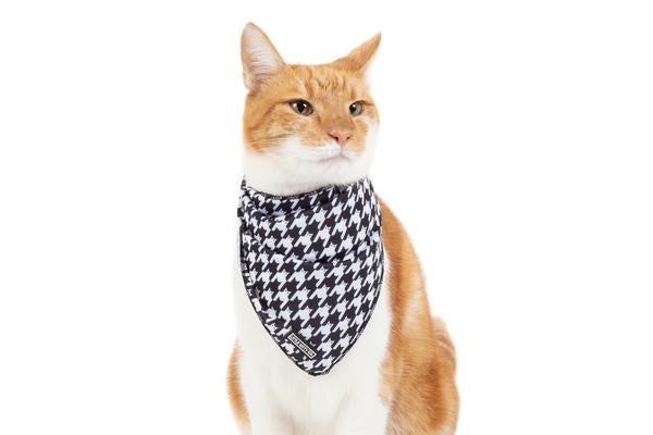 Little Kitty Cat Bandana Catstooth - Premium Kattenkleding > bandana from Little Kitty - Just €8.99! Shop now at Frenkiezdogshop