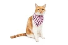 Little Kitty Cat Bandana Prettiest of them All - Premium Kattenkleding > bandana from Little Kitty - Just €8.99! Shop now at Frenkiezdogshop