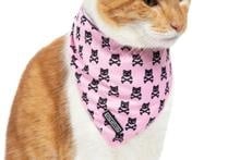 Little Kitty Cat Bandana Prettiest of them All - Premium Kattenkleding > bandana from Little Kitty - Just €8.99! Shop now at Frenkiezdogshop