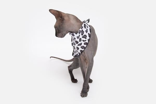 Little Kitty Cat Bandana Wild Cat - Premium Kattenkleding > bandana from Little Kitty - Just €8.99! Shop now at Frenkiezdogshop