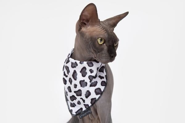 Little Kitty Cat Bandana Wild Cat - Premium Kattenkleding > bandana from Little Kitty - Just €8.99! Shop now at Frenkiezdogshop