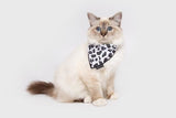 Little Kitty Cat Bandana Wild Cat - Premium Kattenkleding > bandana from Little Kitty - Just €8.99! Shop now at Frenkiezdogshop