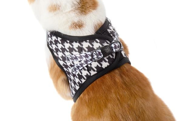 Little Kitty Cat Harness Catstooth - Premium Kattentuig > kattenharnas from Little Kitty - Just €19.99! Shop now at Frenkiezdogshop