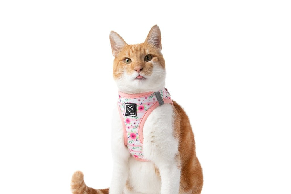 Little Kitty Cat Harness Fancy Florals - Premium Kattentuig > kattenharnas from Little Kitty - Just €19.99! Shop now at Frenkiezdogshop