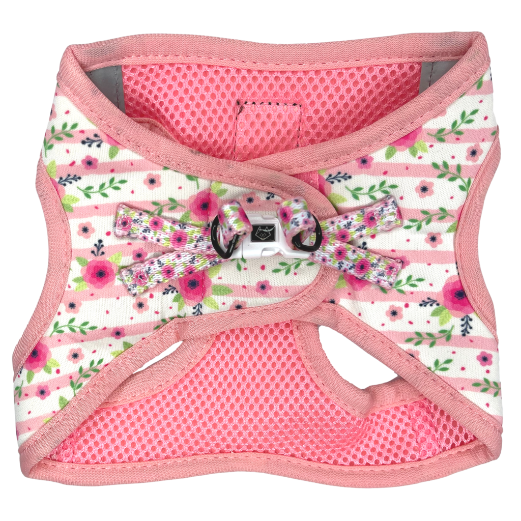 Little Kitty Cat Harness Fancy Florals - Premium Kattentuig > kattenharnas from Little Kitty - Just €19.99! Shop now at Frenkiezdogshop