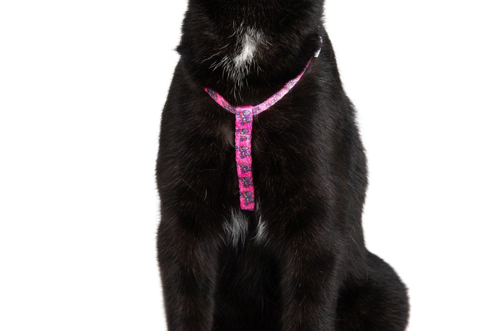 Little Kitty Strap Harness Flutterly Fab - Premium Kattentuig > kattenharnas from Little Kitty - Just €17.99! Shop now at Frenkiezdogshop