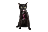 Little Kitty Strap Harness Flutterly Fab - Premium Kattentuig > kattenharnas from Little Kitty - Just €17.99! Shop now at Frenkiezdogshop