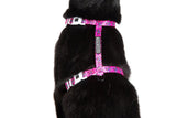 Little Kitty Strap Harness Flutterly Fab - Premium Kattentuig > kattenharnas from Little Kitty - Just €17.99! Shop now at Frenkiezdogshop