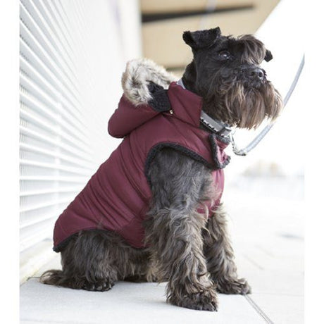 Bobby Winterjas Sky Purple - Premium Hondenkleding > hondenjas from Bobby - Just €34.99! Shop now at Frenkiezdogshop