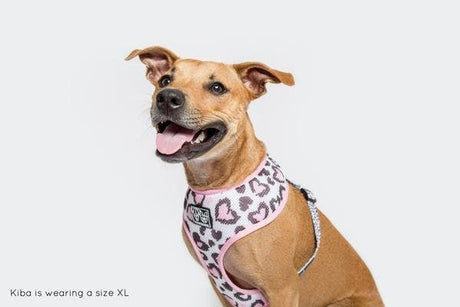 Big and Little Dogs Classic Harness Wild Love ( ALLEEN XXL ) hondentuig > honden harnas > model A Medium