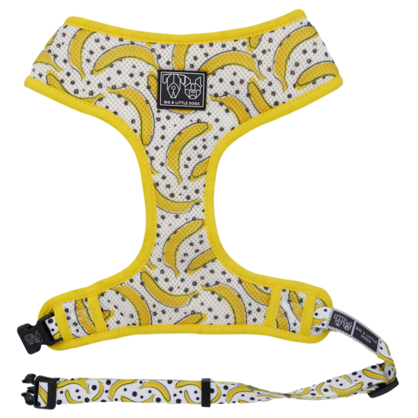 Big & Little Dogs Classic Harness Going Bananas ( XXL) - Premium hondentuig > honden harnas from Big and Little Dogs - Just €20.99! Shop now at Frenkiezdogshop