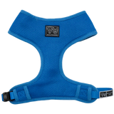 Big and Little Dogs Classic Harness Cobalt Blue - Premium hondentuig > honden harnas from Big and Little Dogs - Just €13.99! Shop now at Frenkiezdogshop