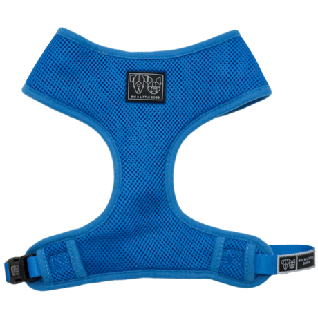 Big and Little Dogs Classic Harness Cobalt Blue - Premium hondentuig > honden harnas from Big and Little Dogs - Just €13.99! Shop now at Frenkiezdogshop