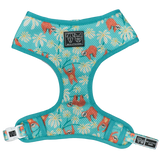 Big & Little Dogs Classic Harness Slotin' Around - Premium hondentuig > honden harnas from Big and Little Dogs - Just €19.99! Shop now at Frenkiezdogshop