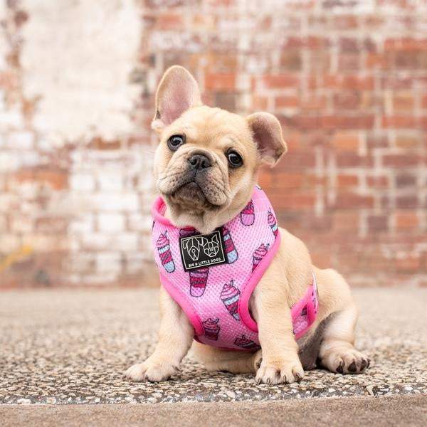 Big & Little Dogs Classic Harness Slushies ( XS, XL & XXL ) - Premium hondentuig > honden harnas from Big and Little Dogs - Just €21.99! Shop now at Frenkiezdogshop