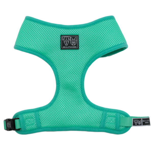 Big and Little Dogs Classic Harness Teal ( MEDIUM ) - Premium hondentuig > honden harnas from Big and Little Dogs - Just €17.99! Shop now at Frenkiezdogshop