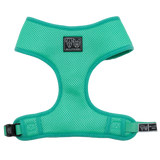 Big and Little Dogs Classic Harness Teal ( MEDIUM ) - Premium hondentuig > honden harnas from Big and Little Dogs - Just €17.99! Shop now at Frenkiezdogshop