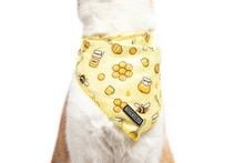 Little Kitty Cat Bandana Bee-Hiving - Premium Kattenkleding > bandana from Little Kitty - Just €8.99! Shop now at Frenkiezdogshop