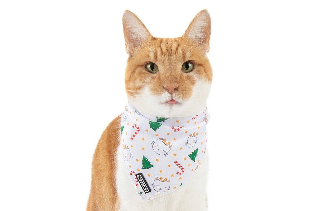 Little Kitty Cat Bandana Meowy Cat-mas - Premium Kattenkleding > bandana from Little Kitty - Just €8.99! Shop now at Frenkiezdogshop