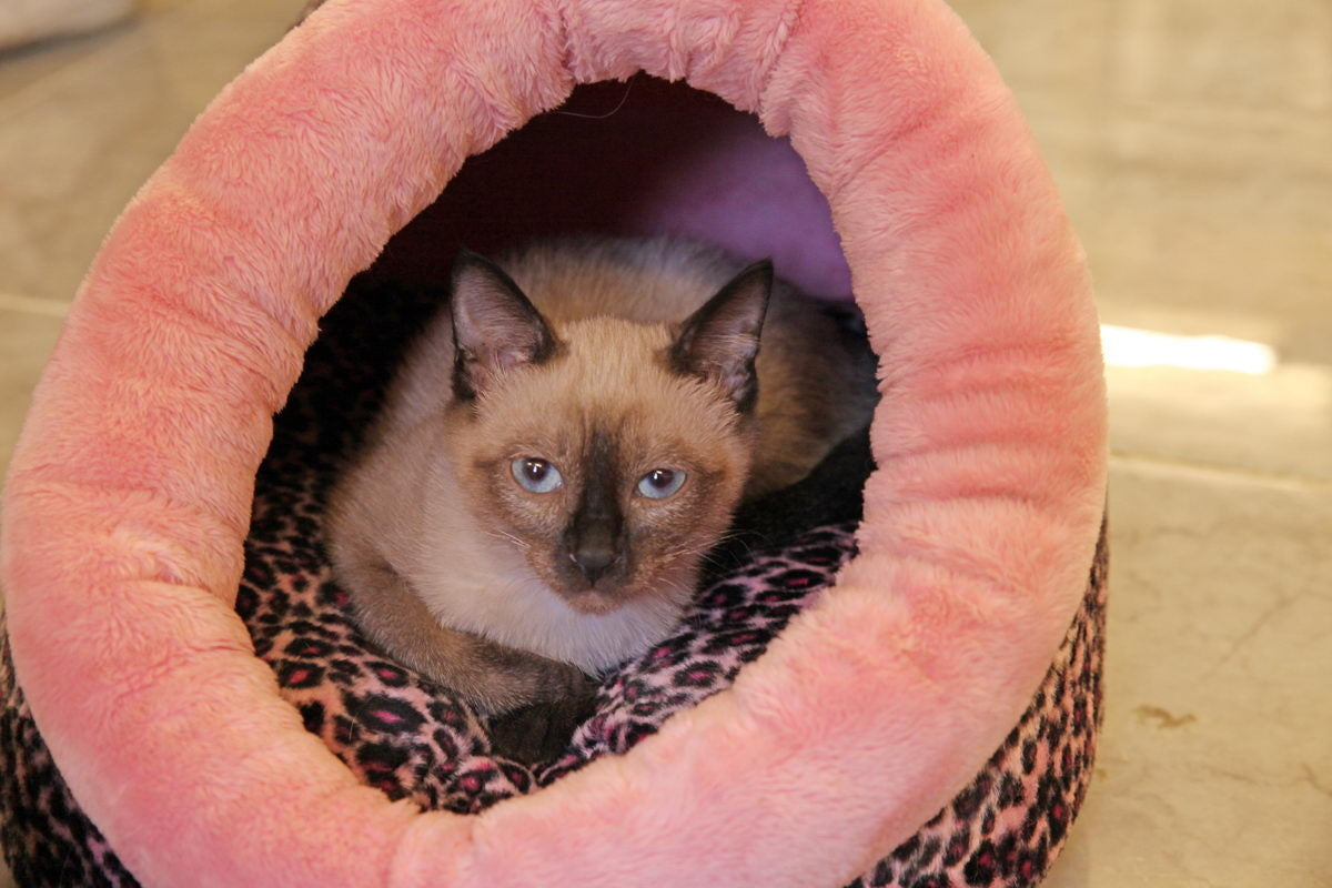 Catspia Snuggle Cat Cave Pink Leopard - Premium Kattenbed > kattenmand from Catspia - Just €49.99! Shop now at Frenkiezdogshop