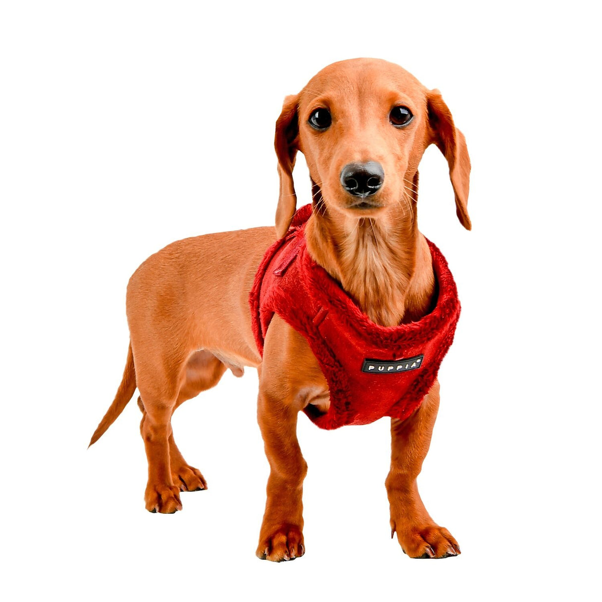 Puppia Terry Vest Harness model B wine - Premium hondentuig > honden harnas from Puppia - Just €30.99! Shop now at Frenkiezdogshop