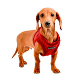 Puppia Terry Vest Harness model B wine - Premium hondentuig > honden harnas from Puppia - Just €30.99! Shop now at Frenkiezdogshop