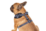 Big and Little Dogs Adjustable dog harness Black Camo - Premium hondentuig > honden harnas from Big and Little Dogs - Just €25.99! Shop now at Frenkiezdogshop